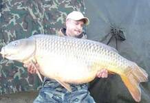 Carpe commune record au lac mequinenza : 40,2 kilos