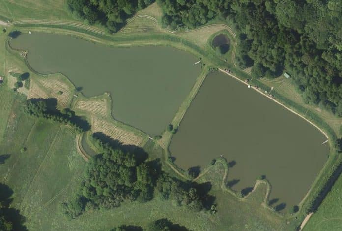 Etangs des Roches