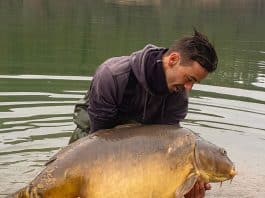 Carpe miroir record Nico Wald