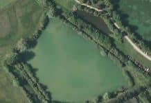 Carp & Wild – Lac privé – Côte-d’Or (21) Carp & wild