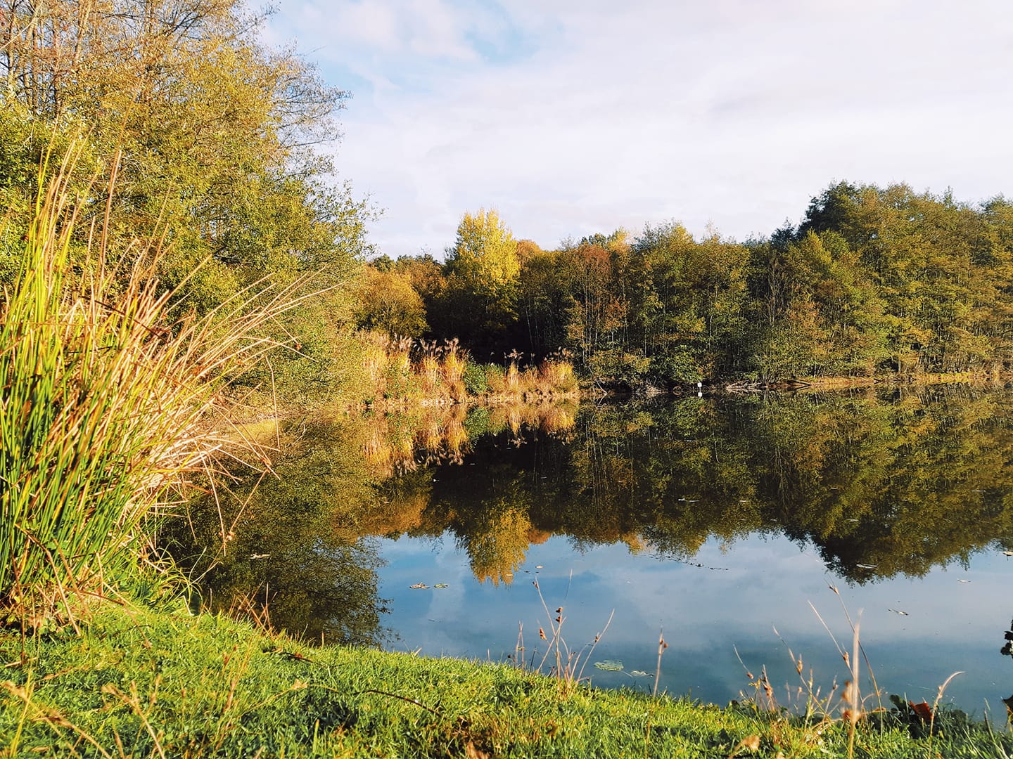 Etang Des Abysses Lac Privé Eure Et Loir (28) — free download