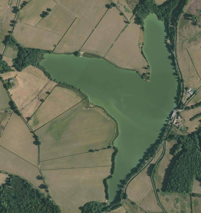 Etang des Gaulois