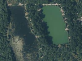 Etang du Renard