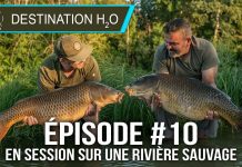 Destination H2o, épisode 10 : Carpes en rivière sauvage et pêche au cassant