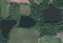 La Pêche du Parc – Lac privé – Manche (50) Domaine de La Pêche du Parc