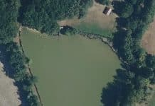 Grand Cerf – Lodgingcarp – Lac privé – Loiret (45) Etang Grand cerf - Lodgingcarp