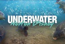 Korda UNDERWATER – Norton Disney Korda UNDERWATER - Norton Disney