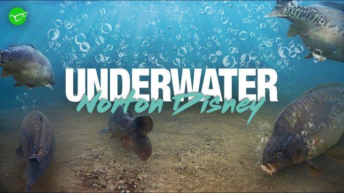 Korda UNDERWATER - Norton Disney