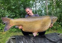 Amour Blanc record 40,5 Kilos – Lac d’Arc-sur-Tille – Thibault Perrier Amour Blanc record 40,5 Kilos – Lac d'Arc-sur-Tille – Thibault Perrier