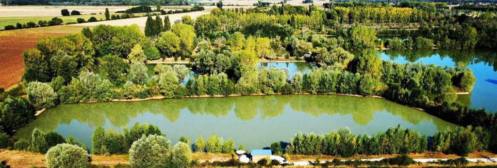 Pêche à la carpe au Domaine de Rumilly (Étang Rumilly, Aube) : un joyau pour les carpistes 1
