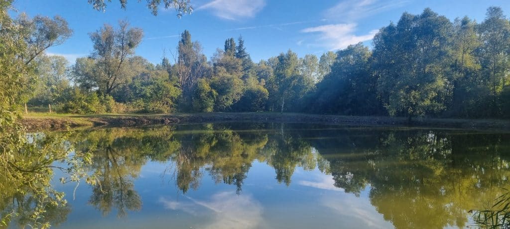 Pêche à la carpe au Domaine de Rumilly (Étang Rumilly, Aube) : un joyau pour les carpistes 2