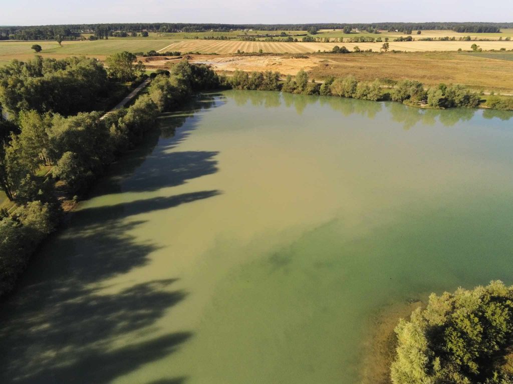 Pêche à la carpe au Domaine de Rumilly (Étang Rumilly, Aube) : un joyau pour les carpistes 3