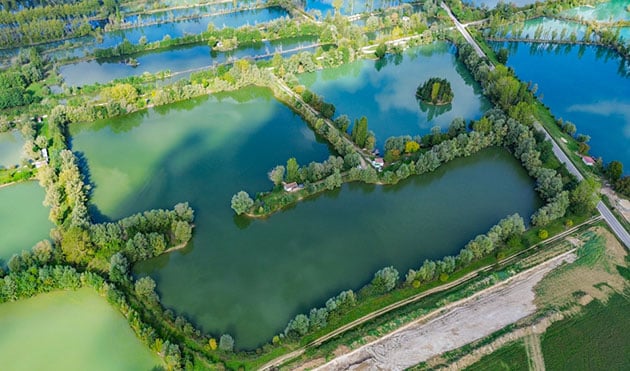 Pêche à la carpe au Domaine de Rumilly (Étang Rumilly, Aube) : un joyau pour les carpistes 12