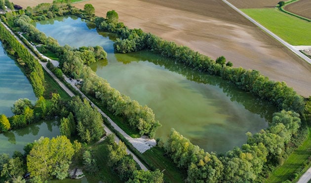 Pêche à la carpe au Domaine de Rumilly (Étang Rumilly, Aube) : un joyau pour les carpistes 13
