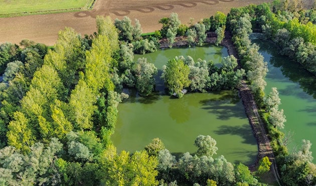 Pêche à la carpe au Domaine de Rumilly (Étang Rumilly, Aube) : un joyau pour les carpistes 16