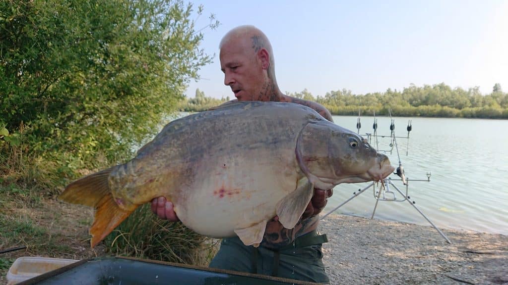 Pêche à la carpe au Domaine de Rumilly (Étang Rumilly, Aube) : un joyau pour les carpistes 9