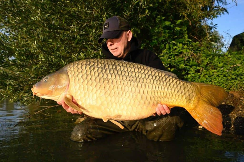Pêche à la carpe au Domaine de Rumilly (Étang Rumilly, Aube) : un joyau pour les carpistes 7
