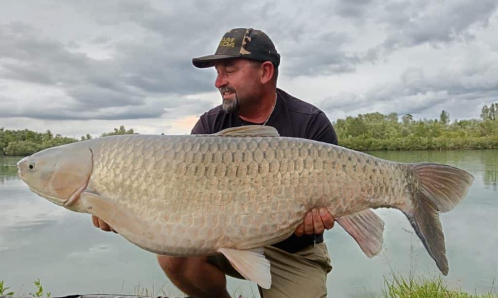 Pêche à la carpe au Domaine de Rumilly (Étang Rumilly, Aube) : un joyau pour les carpistes 19