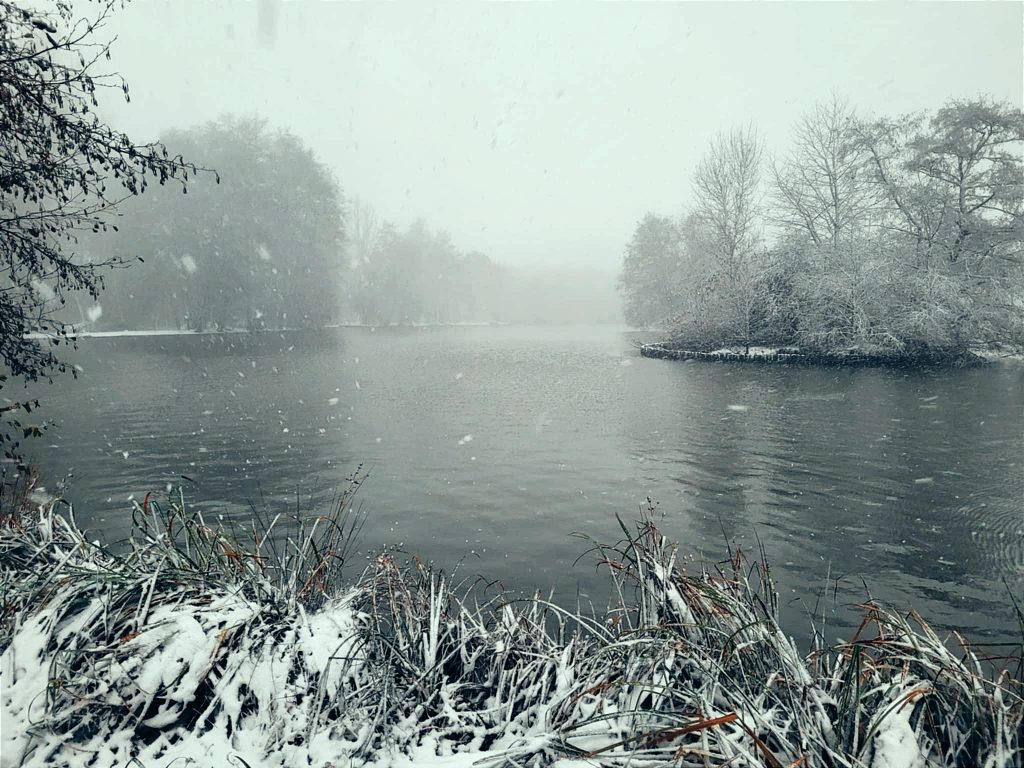 Pêcher la carpe à l’étang du Puy Follet à Laleu (Orne) : guide complet et photos 7
