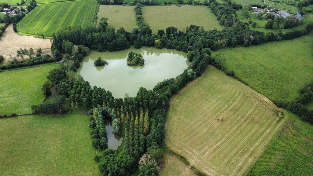 Pêcher la carpe à l’étang du Puy Follet à Laleu (Orne) : guide complet et photos 8