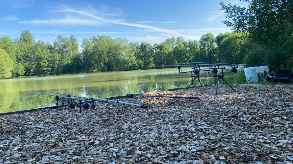 Pêcher la carpe à l’étang du Puy Follet à Laleu (Orne) : guide complet et photos 10