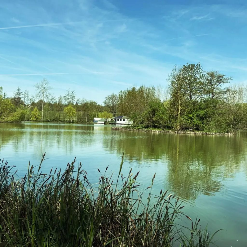 Pêcher la carpe à l’étang du Puy Follet à Laleu (Orne) : guide complet et photos 11