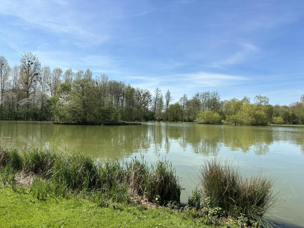 Pêcher la carpe à l’étang du Puy Follet à Laleu (Orne) : guide complet et photos 9