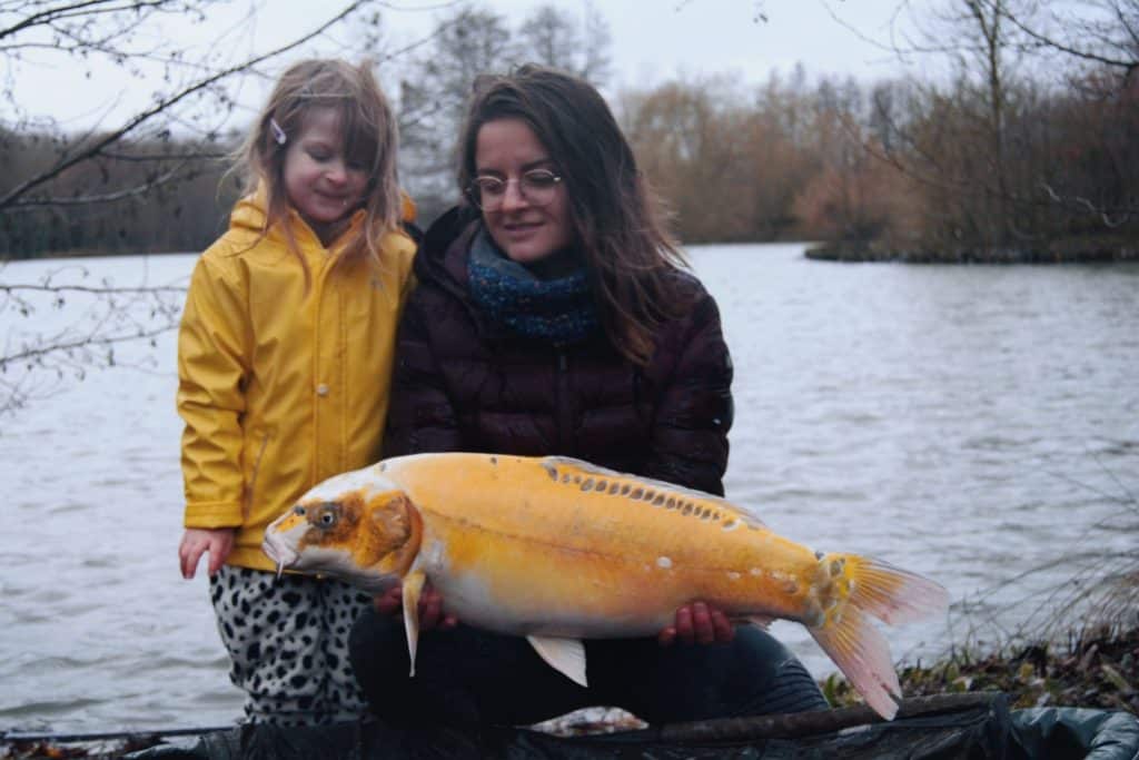 Pêcher la carpe à l’étang du Puy Follet à Laleu (Orne) : guide complet et photos 4