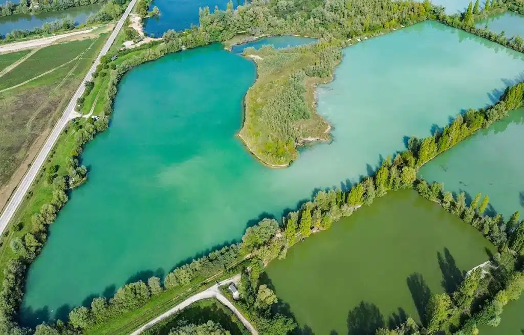 Pêche à la carpe au Domaine de Rumilly (Étang Rumilly, Aube) : un joyau pour les carpistes 18