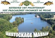 Rempoissonnement FISHABIL : un événement exceptionnel pour la saison de pêche 2026 Rempoissonnement Fishabil decembre 2025