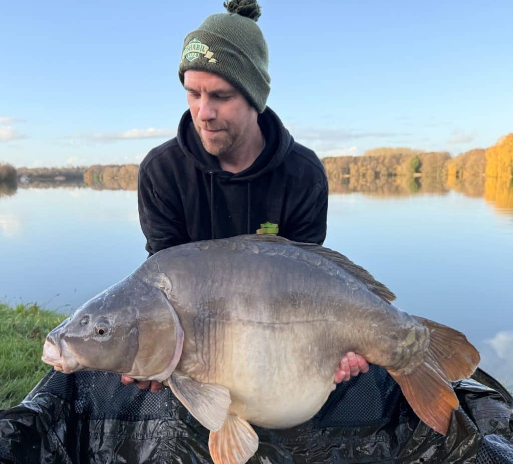 Rempoissonnement carpe miroir 2026