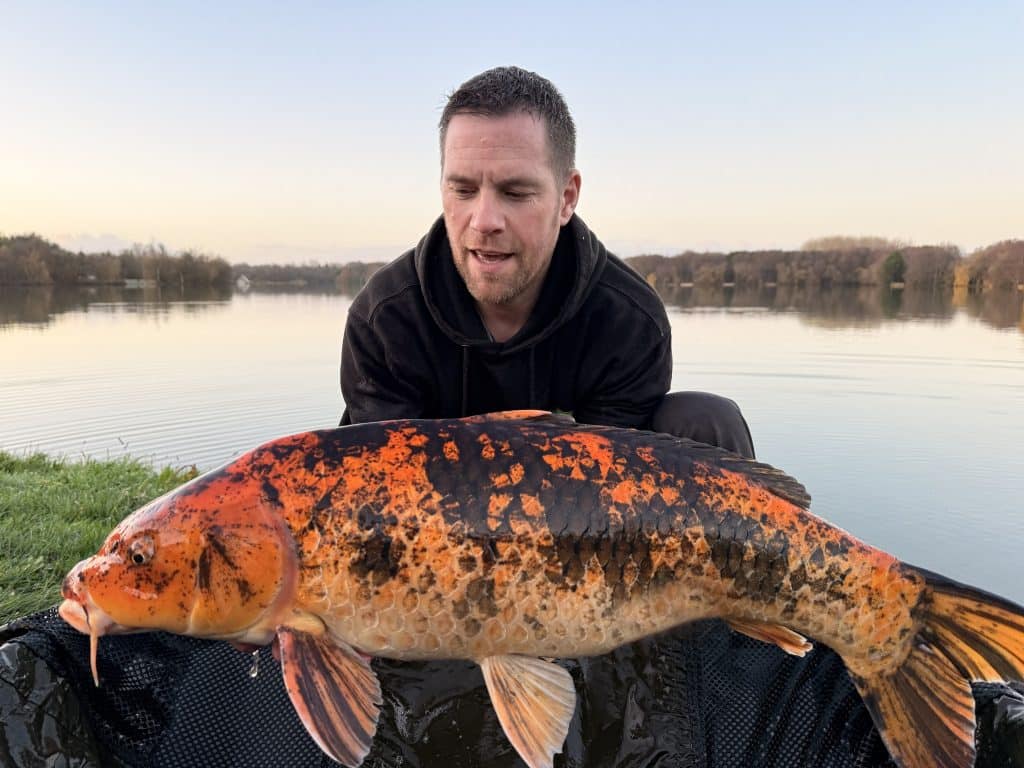 Koi Étang de Loscouët