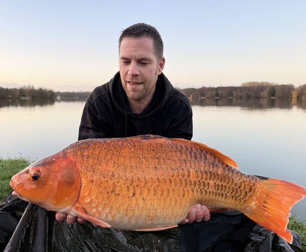 Rempoissonnement FISHABIL : un événement exceptionnel pour la saison de pêche 2026 2