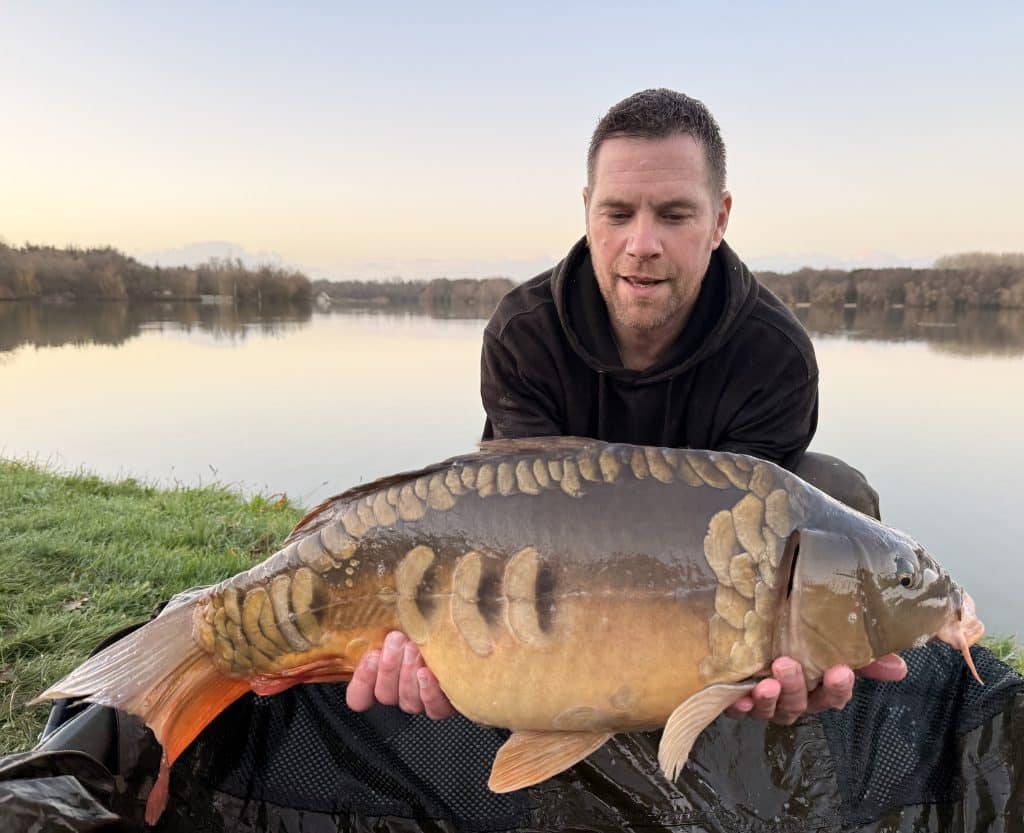 Rempoissonnement carpe miroir 2026